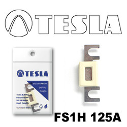 FS1H125A Tesla